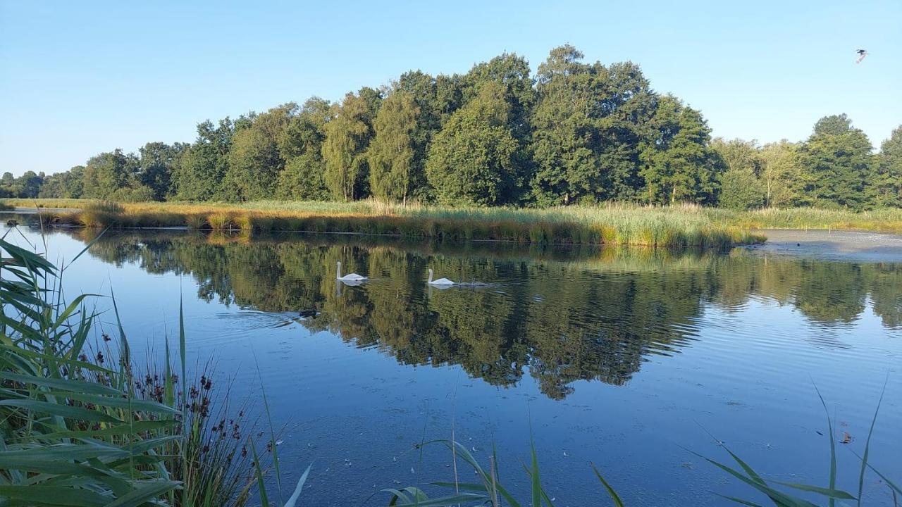 Helle Ferienwohnung In Nettetal Bei Venlo Exterior foto